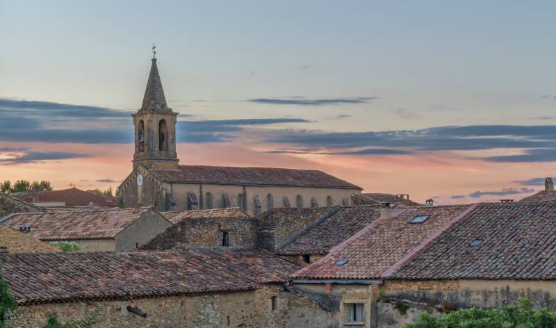 Un traditionnel duo vigne-maraîchage Domaine du Mas Rous des Côtes du Roussillon