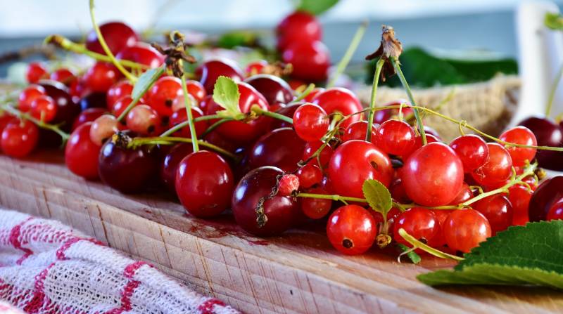 Millassous aux fruits rouges et un rivesaltes tuilé pour 4 personnes