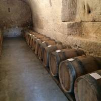 Le vignoble Listrac et Moulis entre Margaux et Saint-Julien